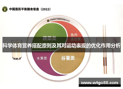 科学体育营养搭配原则及其对运动表现的优化作用分析